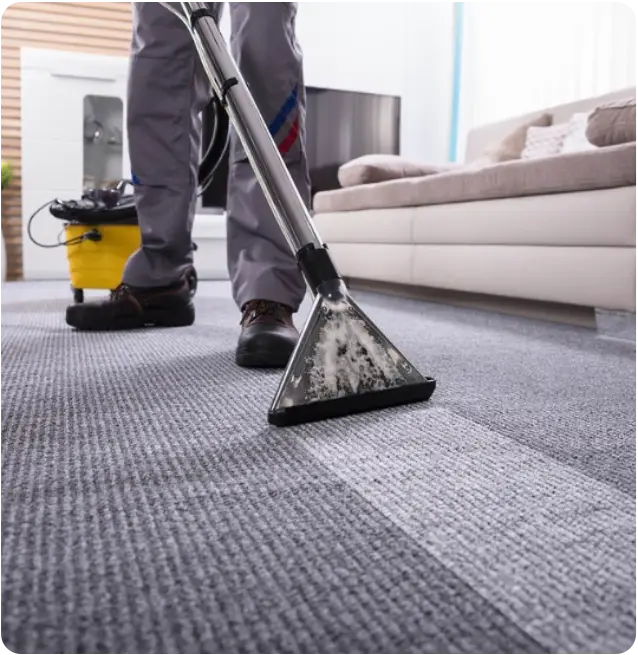 Carpet Stain Removal